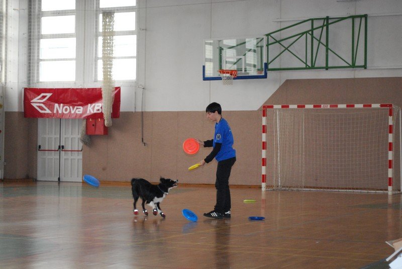 Zakjucek PPT 2011 9